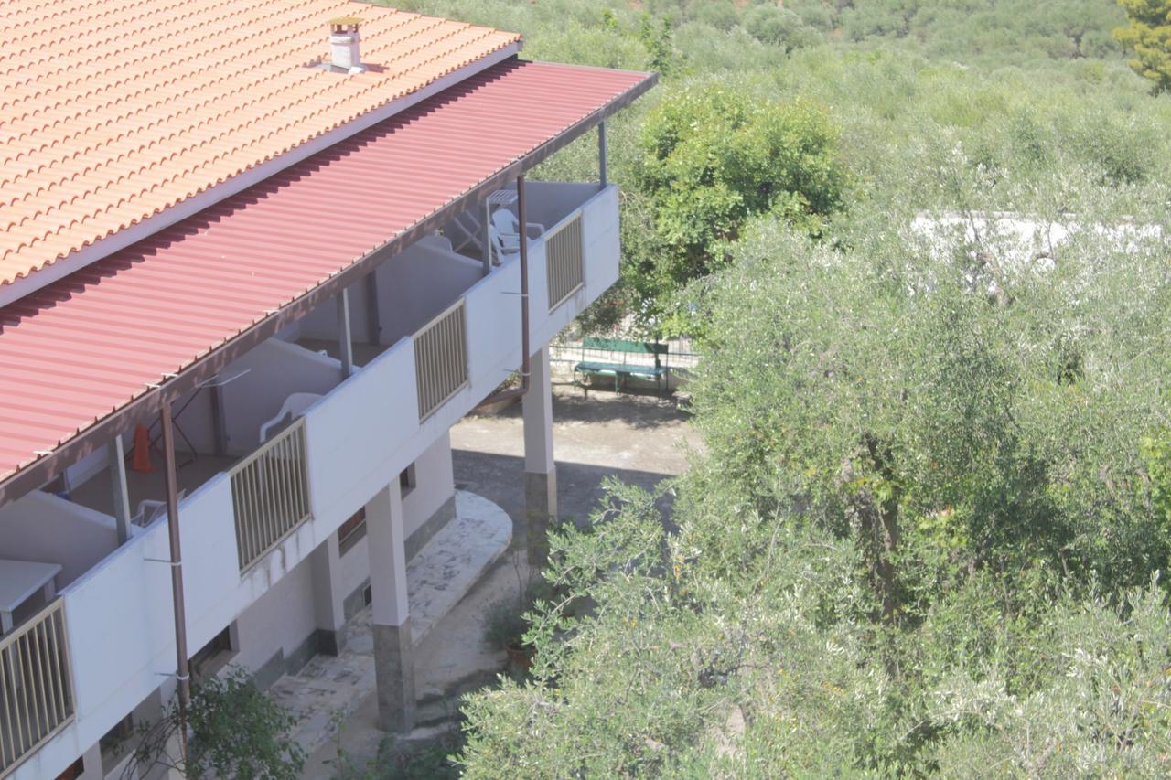Albergo 2 Pini โรดิการ์กานิโก ภายนอก รูปภาพ