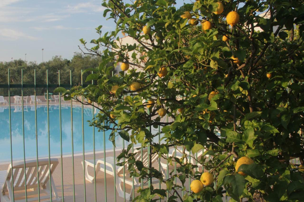 Albergo 2 Pini โรดิการ์กานิโก ภายนอก รูปภาพ